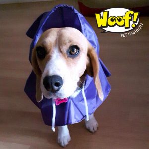 raincoat para perros